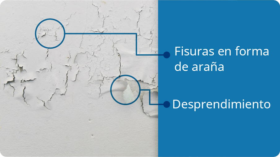 Pinturas y recubrimientos caso